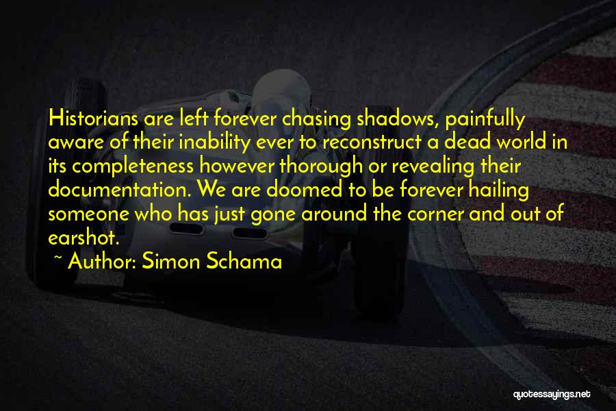 Perspective In History Quotes By Simon Schama