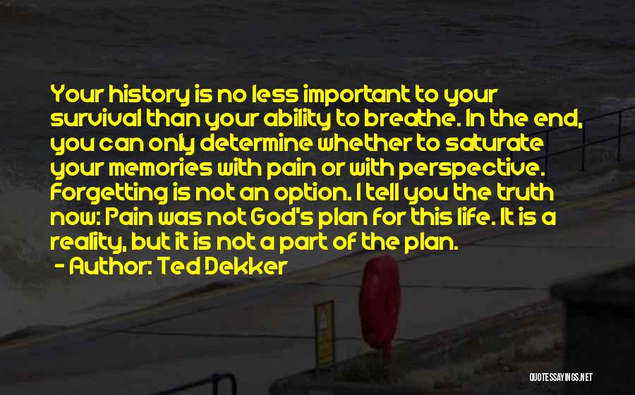 Perspective In History Quotes By Ted Dekker