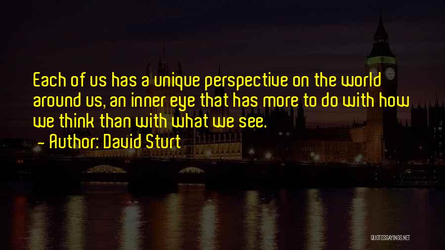 Perspective On The World Quotes By David Sturt