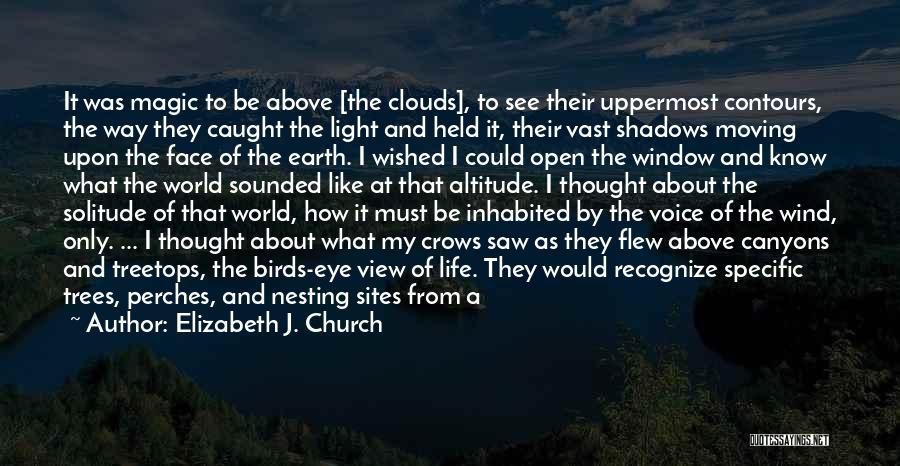 Perspective On The World Quotes By Elizabeth J. Church