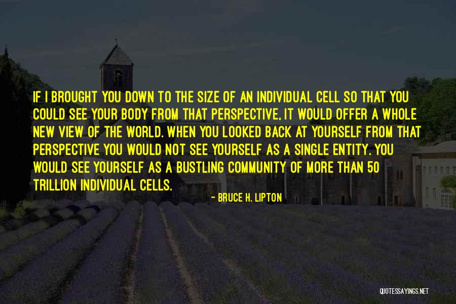 Perspective Quotes By Bruce H. Lipton