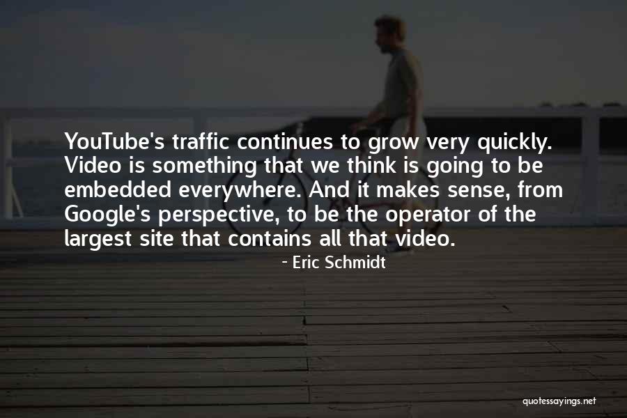 Perspective Quotes By Eric Schmidt