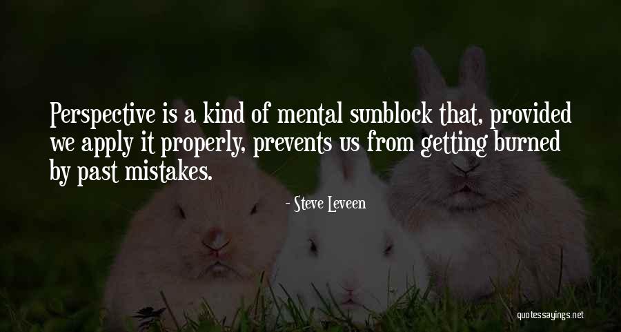 Perspective Quotes By Steve Leveen