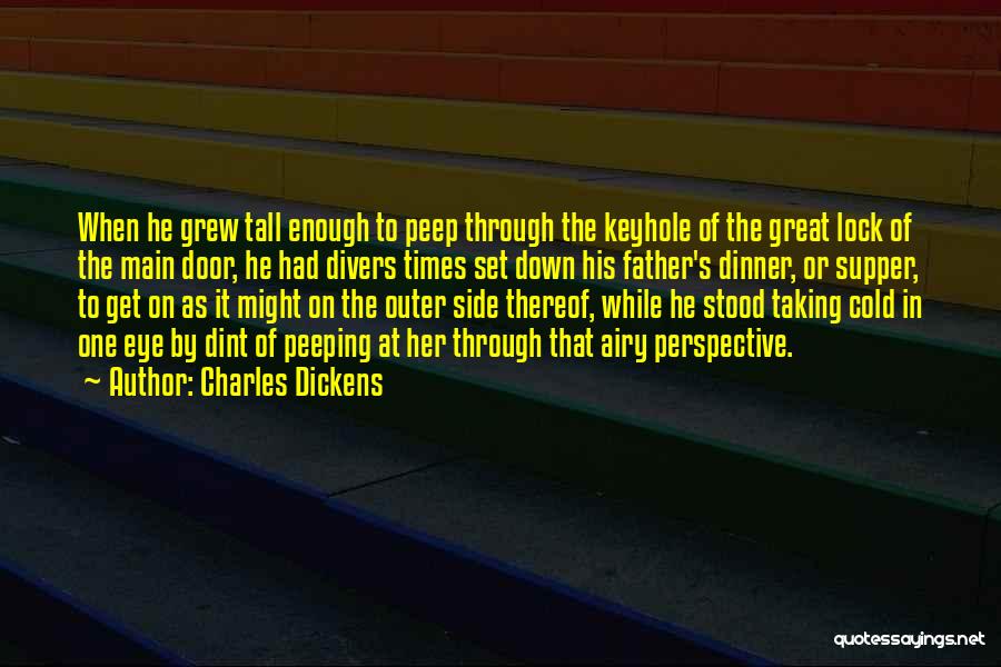 Perspective Taking Quotes By Charles Dickens