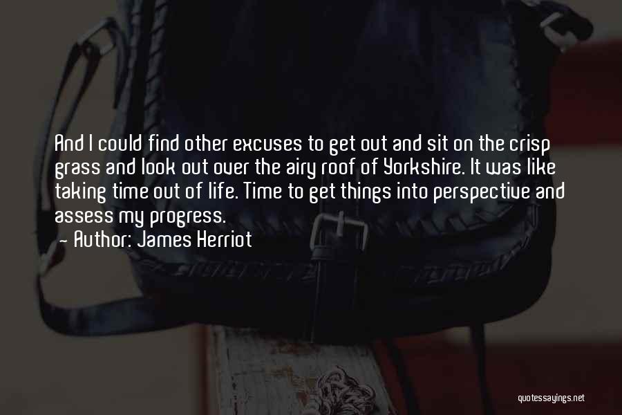 Perspective Taking Quotes By James Herriot