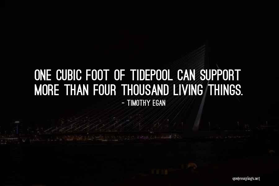 Perspectives Point Of View Quotes By Timothy Egan Perspectives Point Of View Quotes By Timothy Egan
