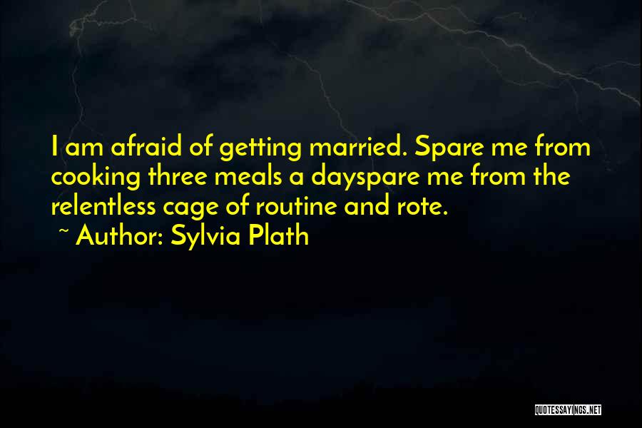 Perspektive Likovna Quotes By Sylvia Plath