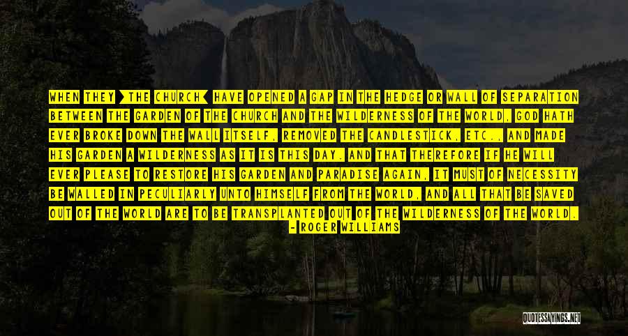 Perspicacia Definicion Quotes By Roger Williams Perspicacia Definicion Quotes By Roger Williams