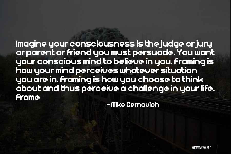 Persuade Quotes By Mike Cernovich