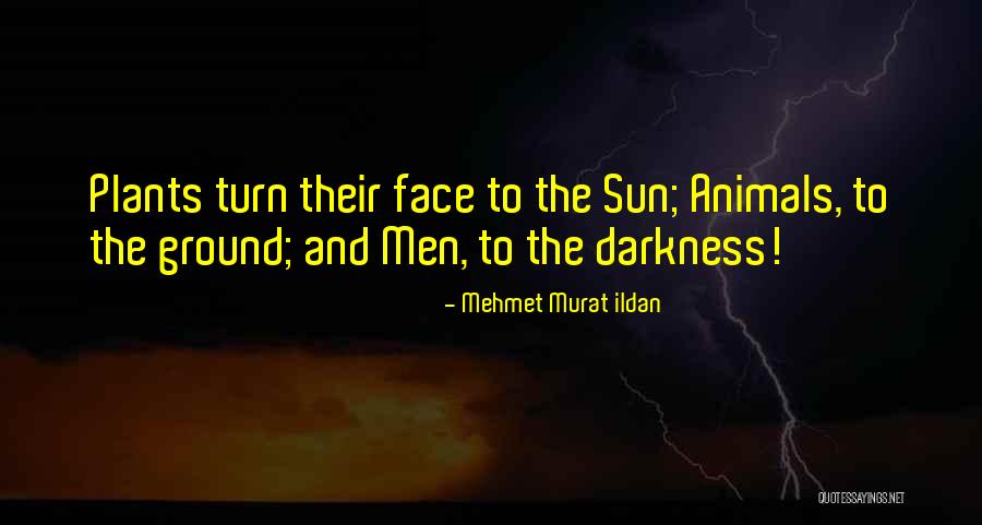 Persuasivo Significado Quotes By Mehmet Murat Ildan Persuasivo Significado Quotes By Mehmet Murat Ildan