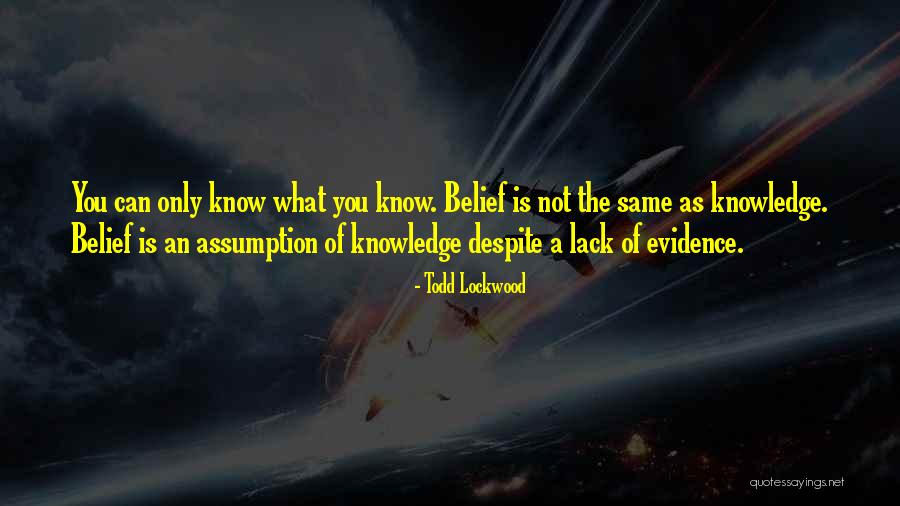 Persuasivo Significato Quotes By Todd Lockwood Persuasivo Significato Quotes By Todd Lockwood