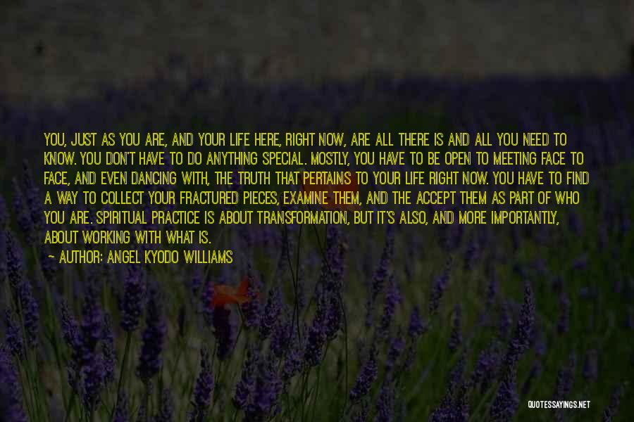 Pertains To Quotes By Angel Kyodo Williams