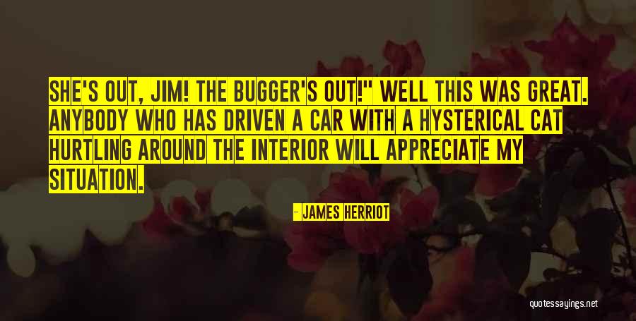Perturbador Definicion Quotes By James Herriot Perturbador Definicion Quotes By James Herriot