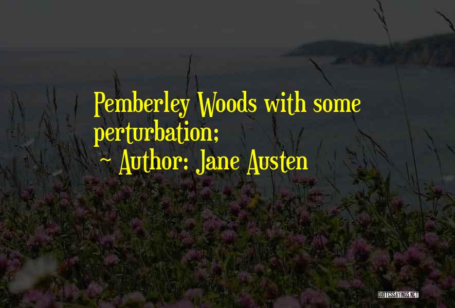 Perturbation Quotes By Jane Austen