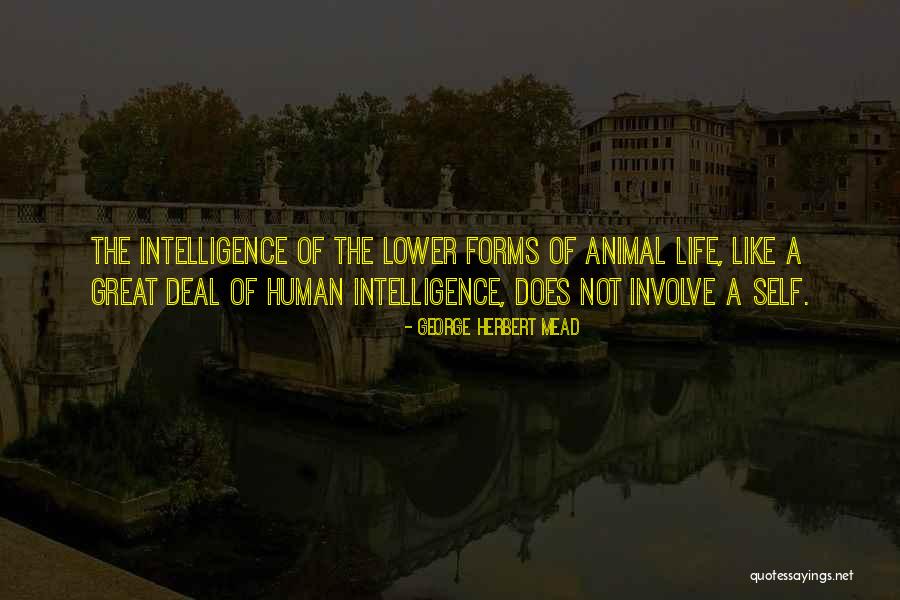 Perusuh Wamena Quotes By George Herbert Mead Perusuh Wamena Quotes By George Herbert Mead