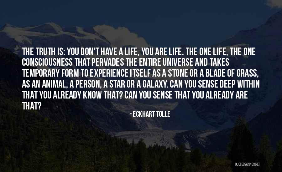 Pervades Quotes By Eckhart Tolle Pervades Quotes By Eckhart Tolle