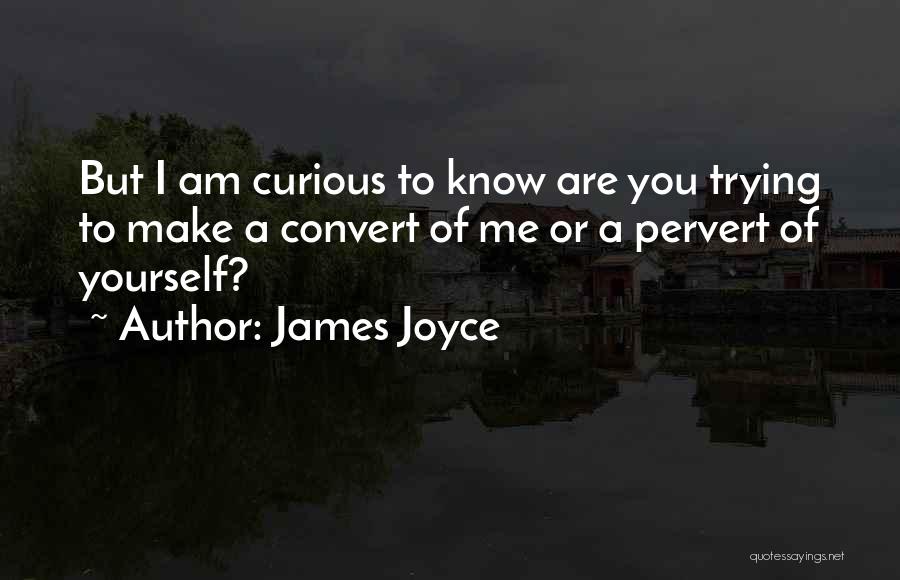 Pervert Quotes By James Joyce