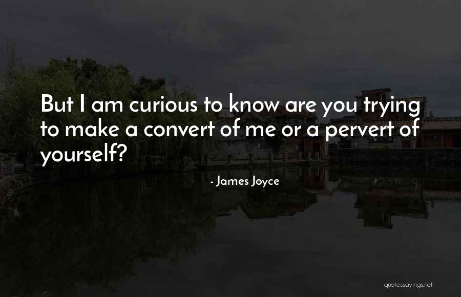 Pervert Quotes By James Joyce