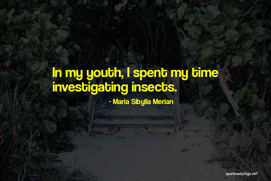 Pesan Quotes By Maria Sibylla Merian Pesan Quotes By Maria Sibylla Merian