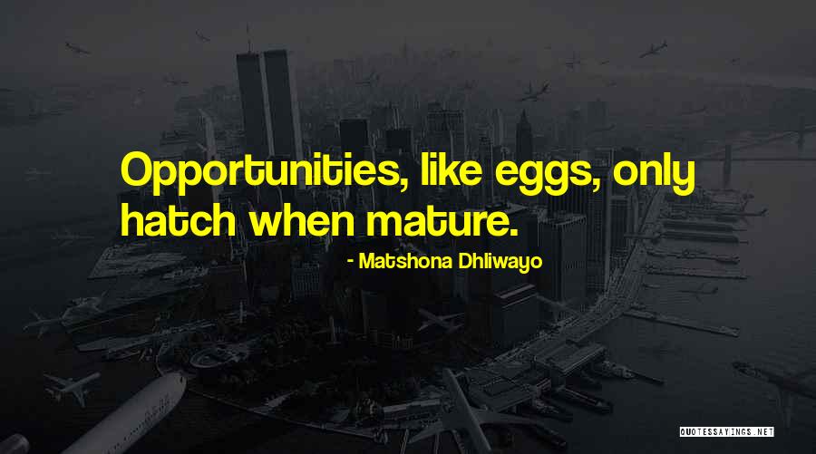 Pesares In English Quotes By Matshona Dhliwayo Pesares In English Quotes By Matshona Dhliwayo