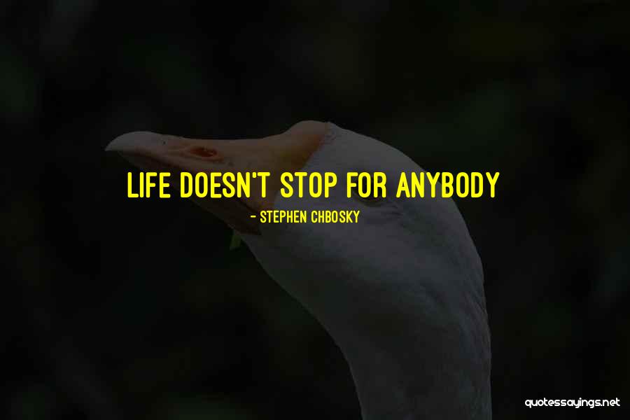 Pesawat Tempur Quotes By Stephen Chbosky Pesawat Tempur Quotes By Stephen Chbosky