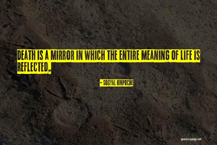 Pesthole Quotes By Sogyal Rinpoche Pesthole Quotes By Sogyal Rinpoche