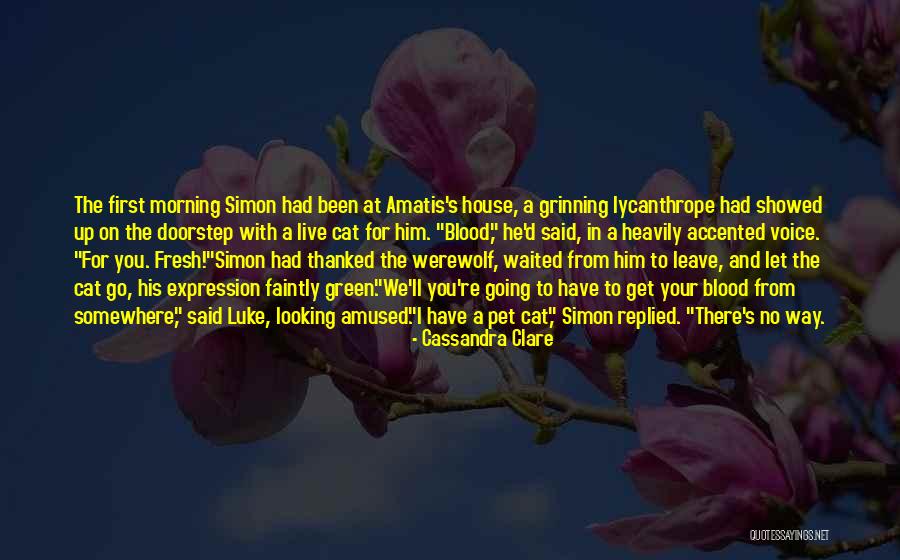 Pet Cat Quotes By Cassandra Clare Pet Cat Quotes By Cassandra Clare