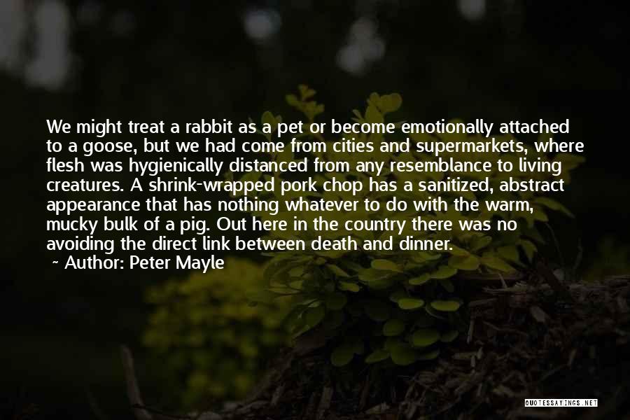 Pet Death Quotes By Peter Mayle