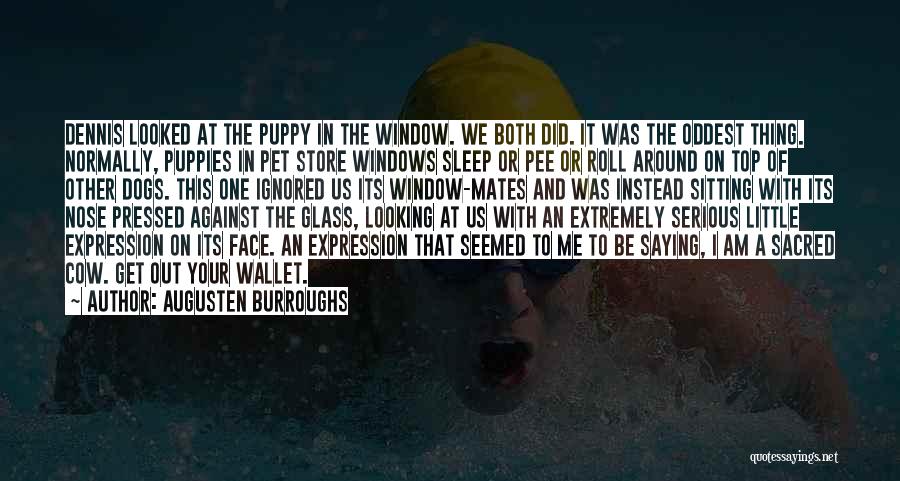 Pet Dogs Quotes By Augusten Burroughs