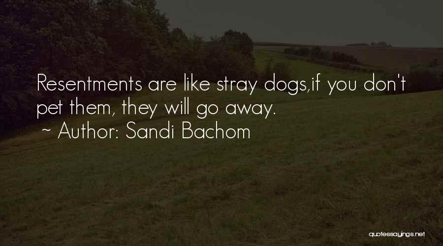 Pet Dogs Quotes By Sandi Bachom