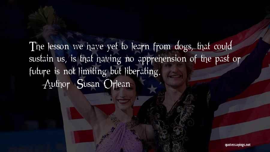 Pet Dogs Quotes By Susan Orlean