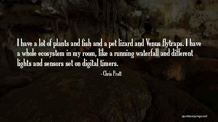 Pet Fish Quotes By Chris Pratt Pet Fish Quotes By Chris Pratt