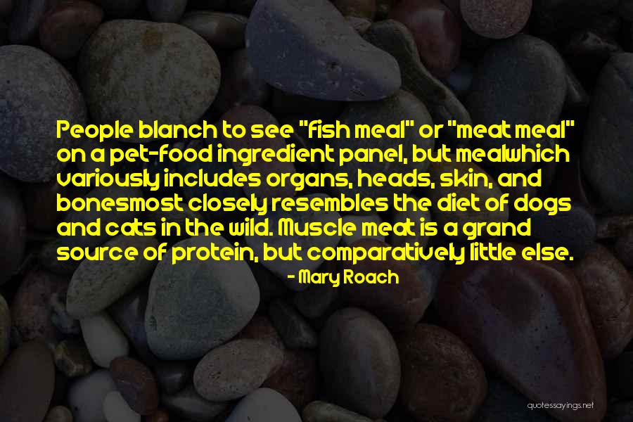 Pet Fish Quotes By Mary Roach Pet Fish Quotes By Mary Roach