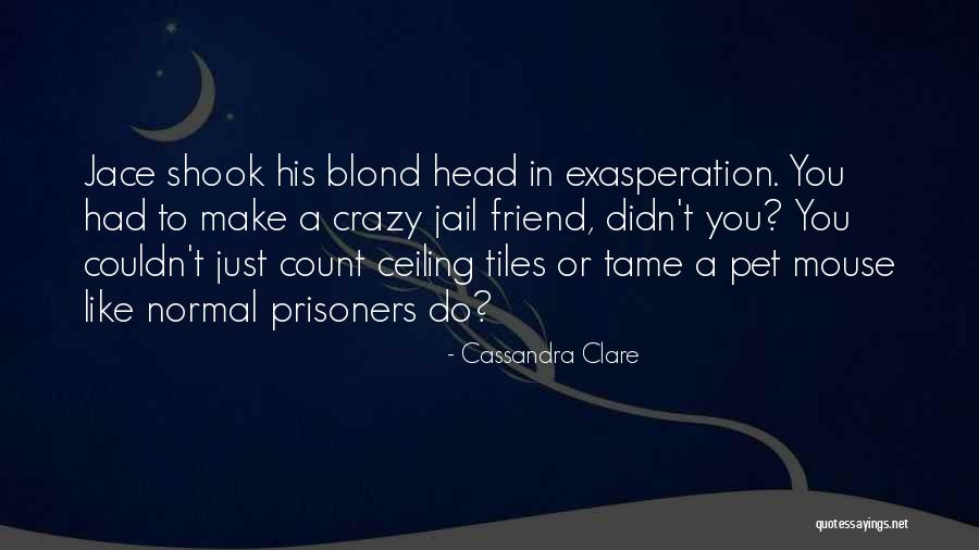 Pet Humor Quotes By Cassandra Clare Pet Humor Quotes By Cassandra Clare