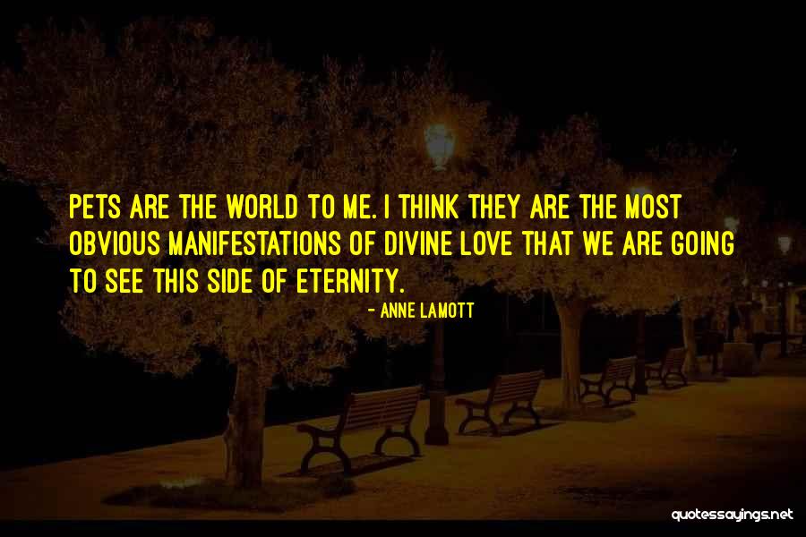 Pet Love Quotes By Anne Lamott Pet Love Quotes By Anne Lamott