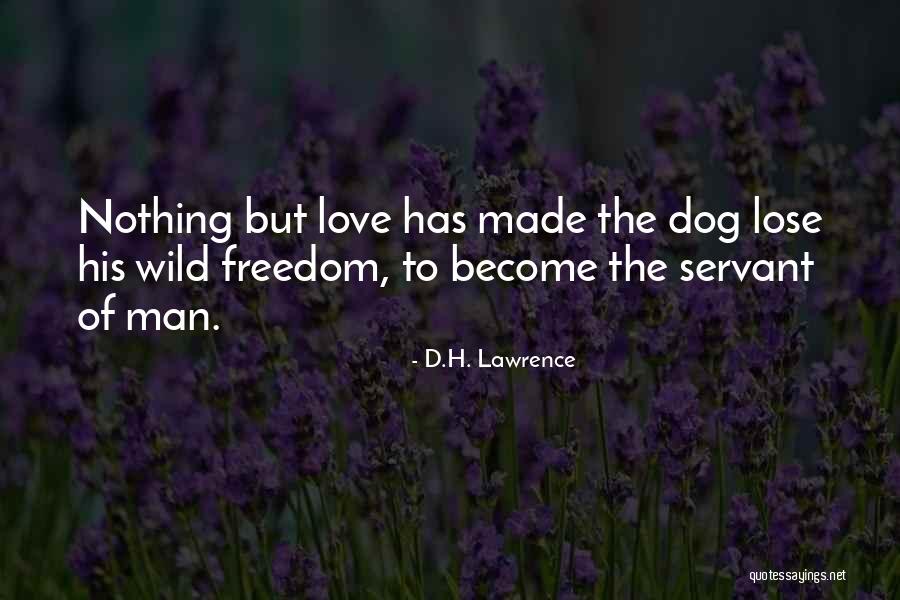 Pet Love Quotes By D.H. Lawrence