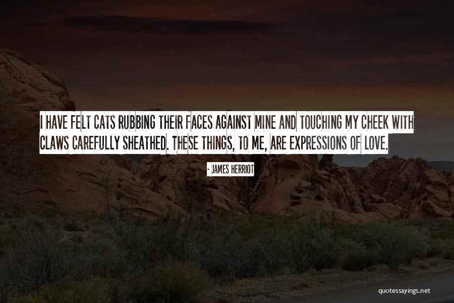 Pet Love Quotes By James Herriot Pet Love Quotes By James Herriot