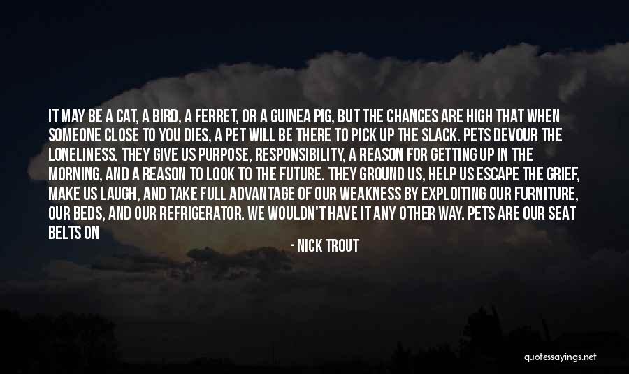 Pet Love Quotes By Nick Trout