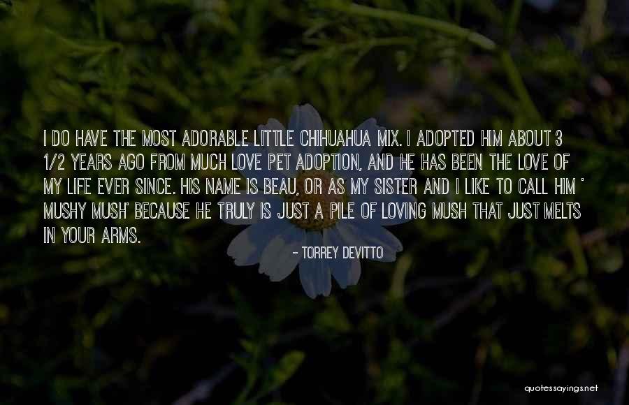 Pet Love Quotes By Torrey DeVitto Pet Love Quotes By Torrey DeVitto