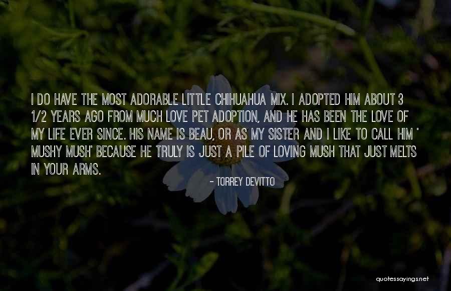 Pet Love Quotes By Torrey DeVitto