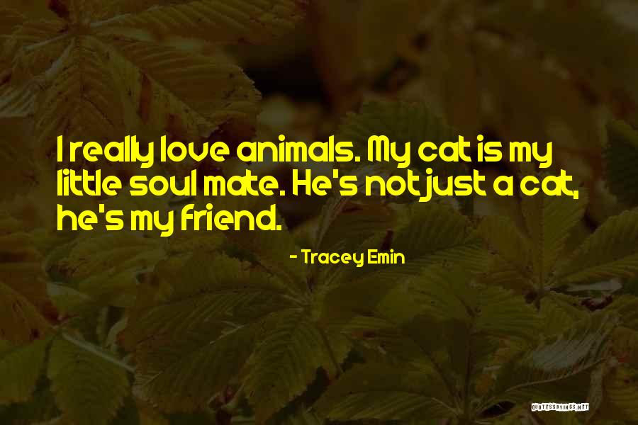 Pet Love Quotes By Tracey Emin