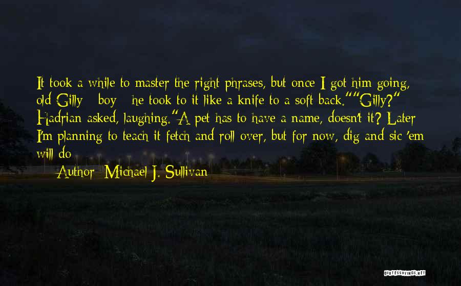 Pet Name Quotes By Michael J. Sullivan