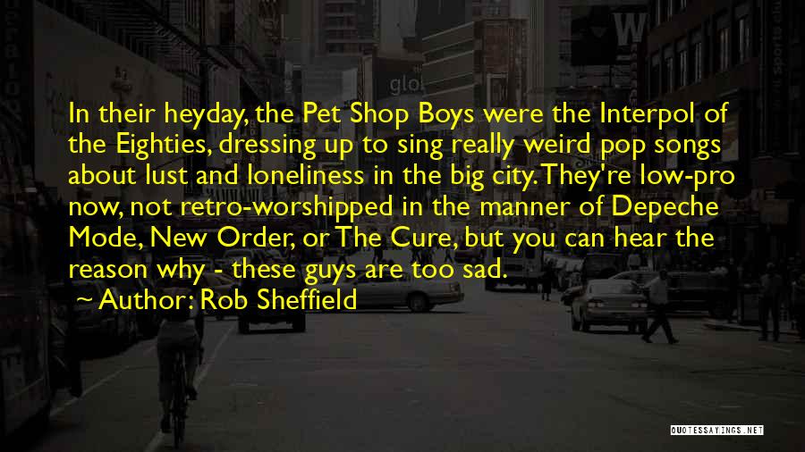 Pet Shop Quotes By Rob Sheffield