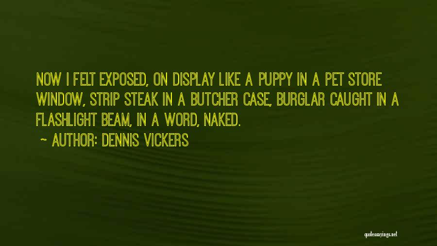 Pet Store Quotes By Dennis Vickers