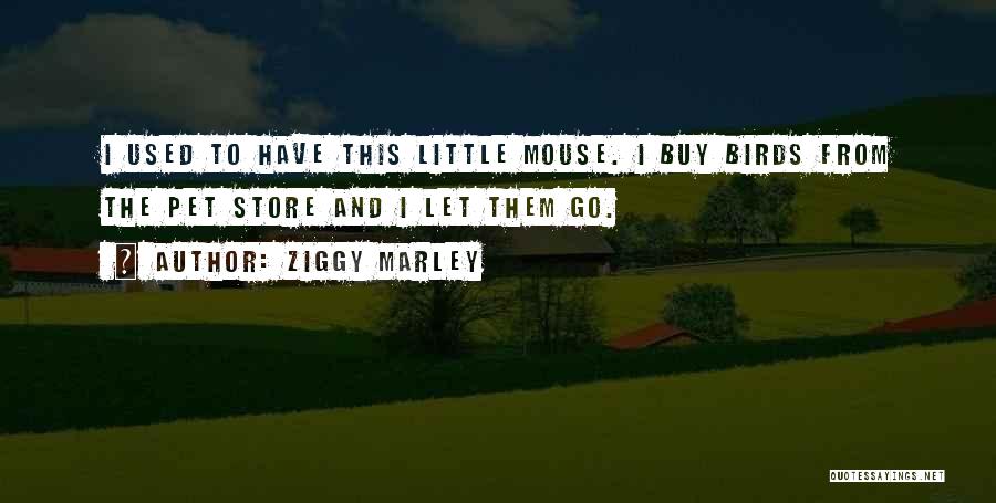 Pet Store Quotes By Ziggy Marley