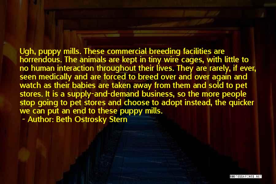 Pet Stores Quotes By Beth Ostrosky Stern
