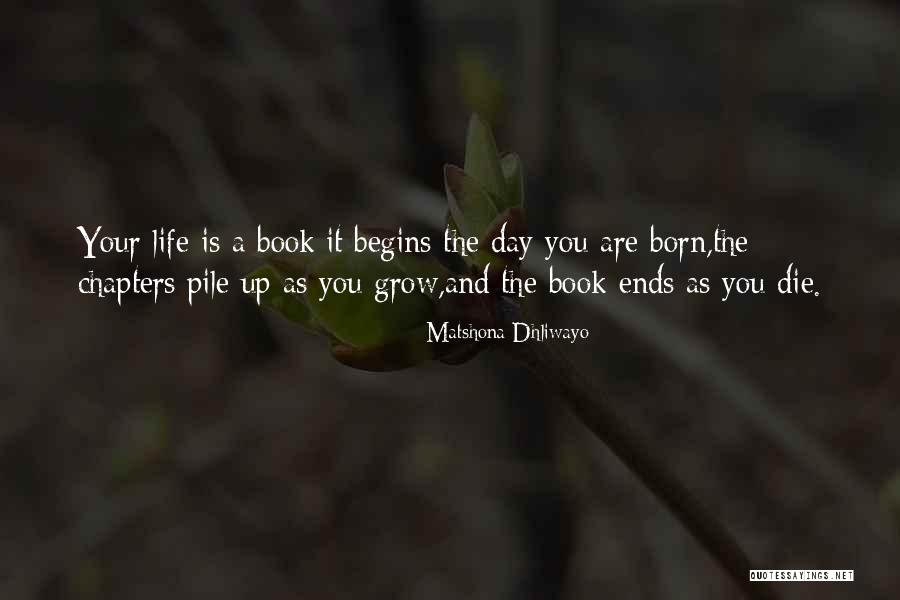Pet Urn Quotes By Matshona Dhliwayo Pet Urn Quotes By Matshona Dhliwayo
