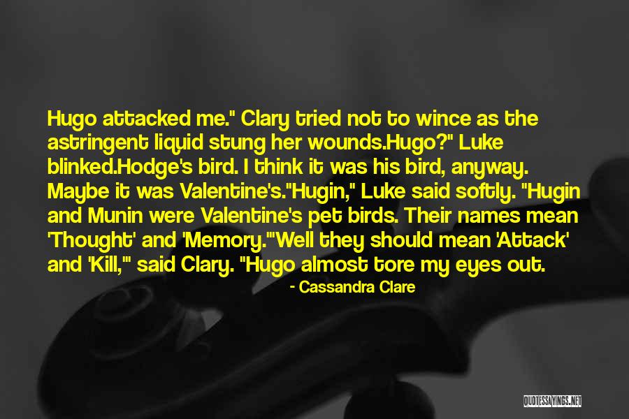 Pet Valentine Quotes By Cassandra Clare Pet Valentine Quotes By Cassandra Clare