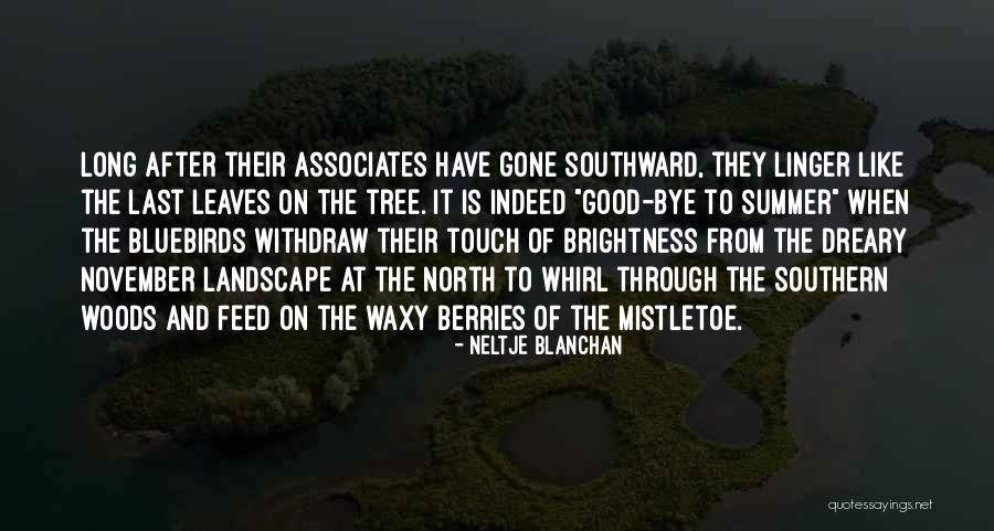 Peta Founder Quotes By Neltje Blanchan Peta Founder Quotes By Neltje Blanchan