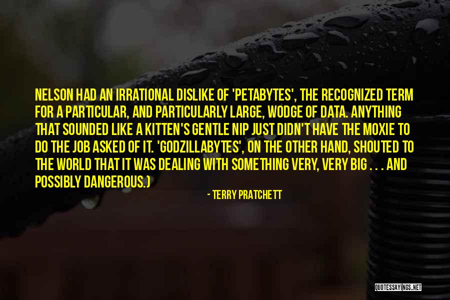 Petabytes Quotes By Terry Pratchett Petabytes Quotes By Terry Pratchett